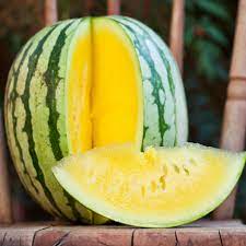 Golden honey watermelon Citrullus lanatus seeds for summer garden